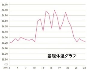 基礎体温グラフ